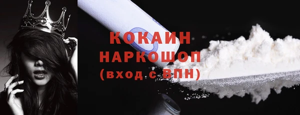 прущий лед Бородино
