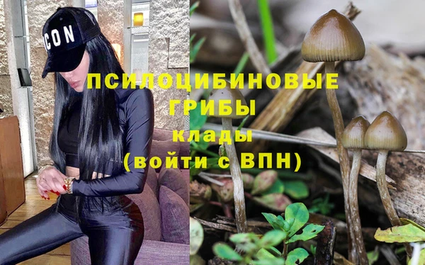 а пвп мука Бронницы