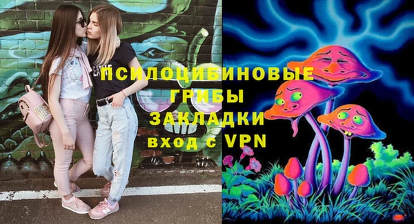 а пвп мука Бронницы