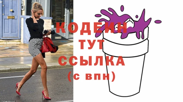 прущий лед Бородино