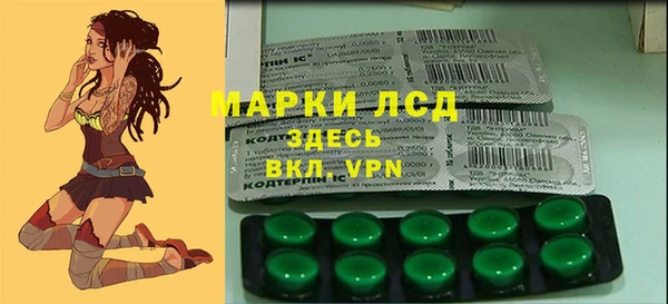 прущий лед Бородино