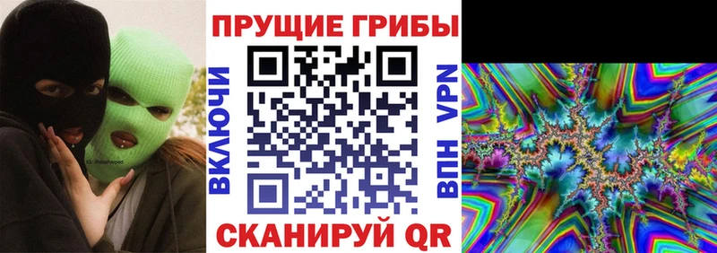 Галлюциногенные грибы прущие грибы  Каменка 